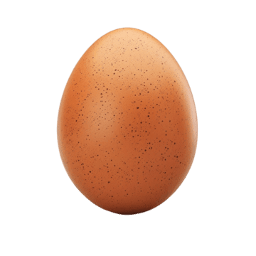 Egg 30pcs red